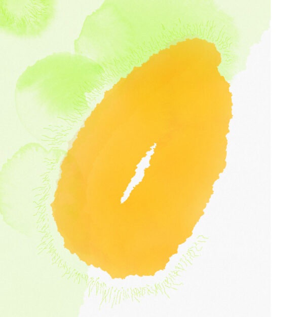 Cell - Image 3